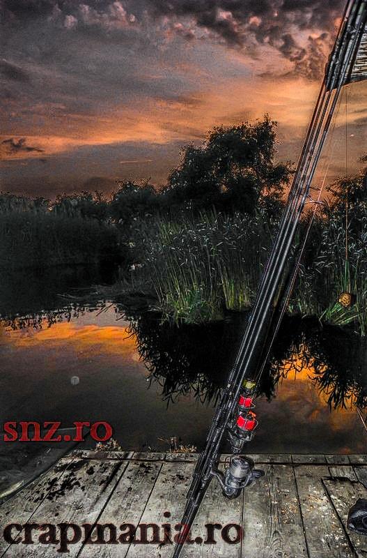 Crapmania (2) - 2013 - 1010330-2hdrmode2.JPG